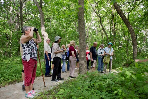 A group of birders looks for birds on a hiking trail