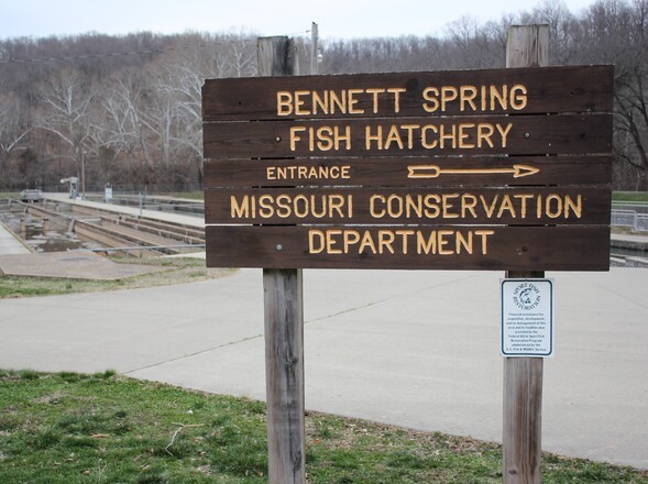 Bennett Spring Hatchery sign