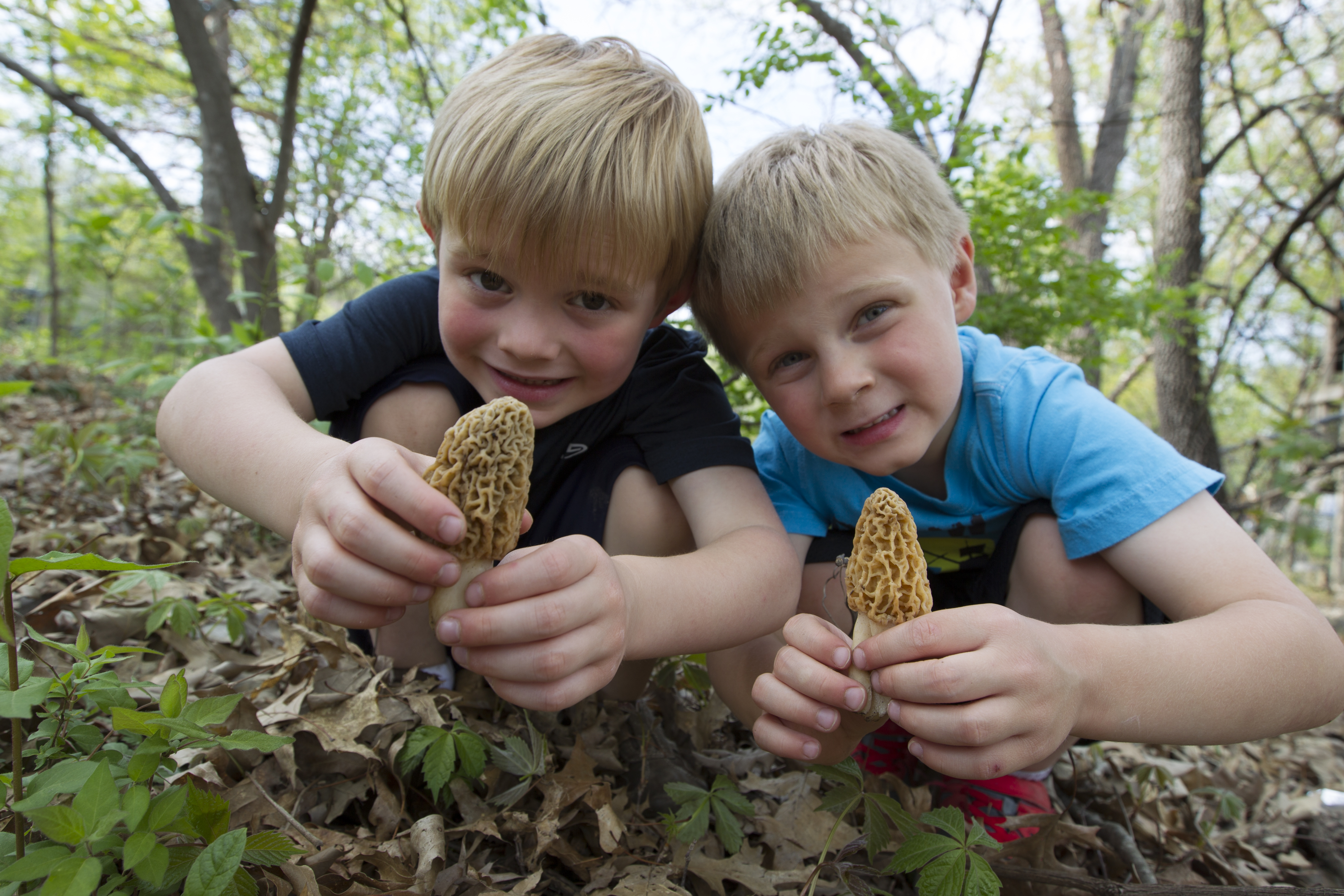Two boys with morels