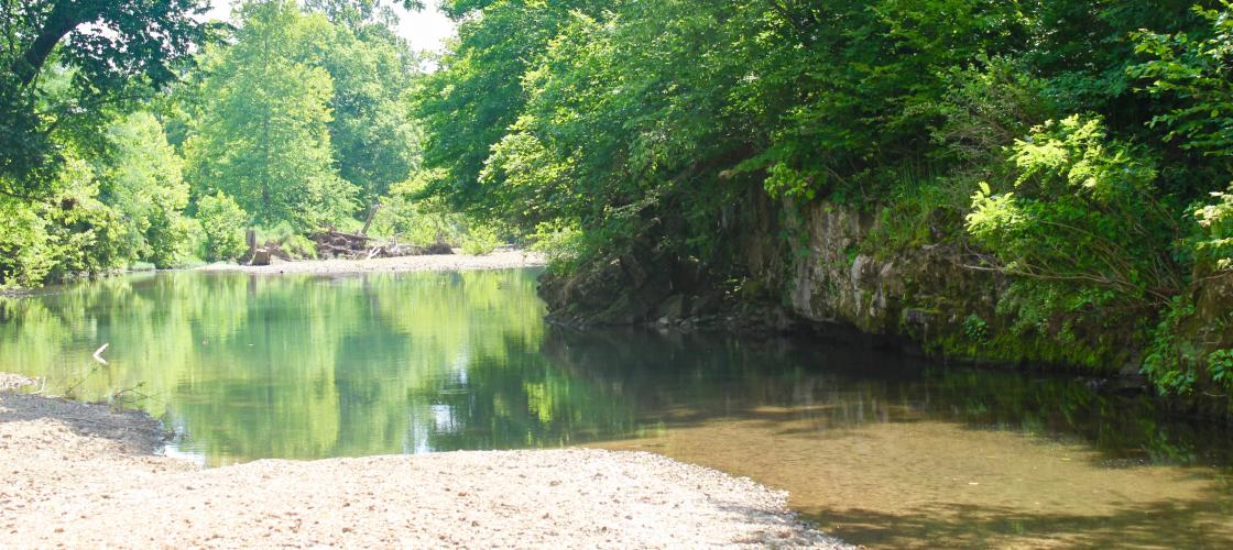 Stream with sandbar, short, steep rock face, and trees along the stream