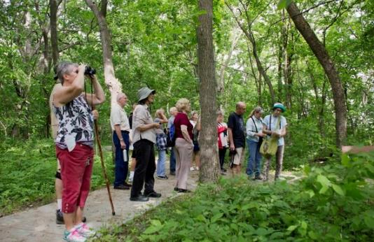 A group of birders looks for birds on a hiking trail