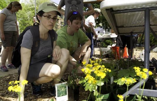 Two women look at flowers during native plant sale