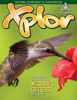 March April 2016 Xplor cover featuring a hummingbird at a flower